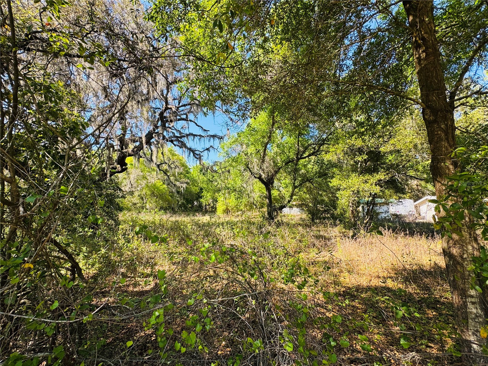 11340 Bessie Dix Road Seffner FL 33584 TB8486880 image10