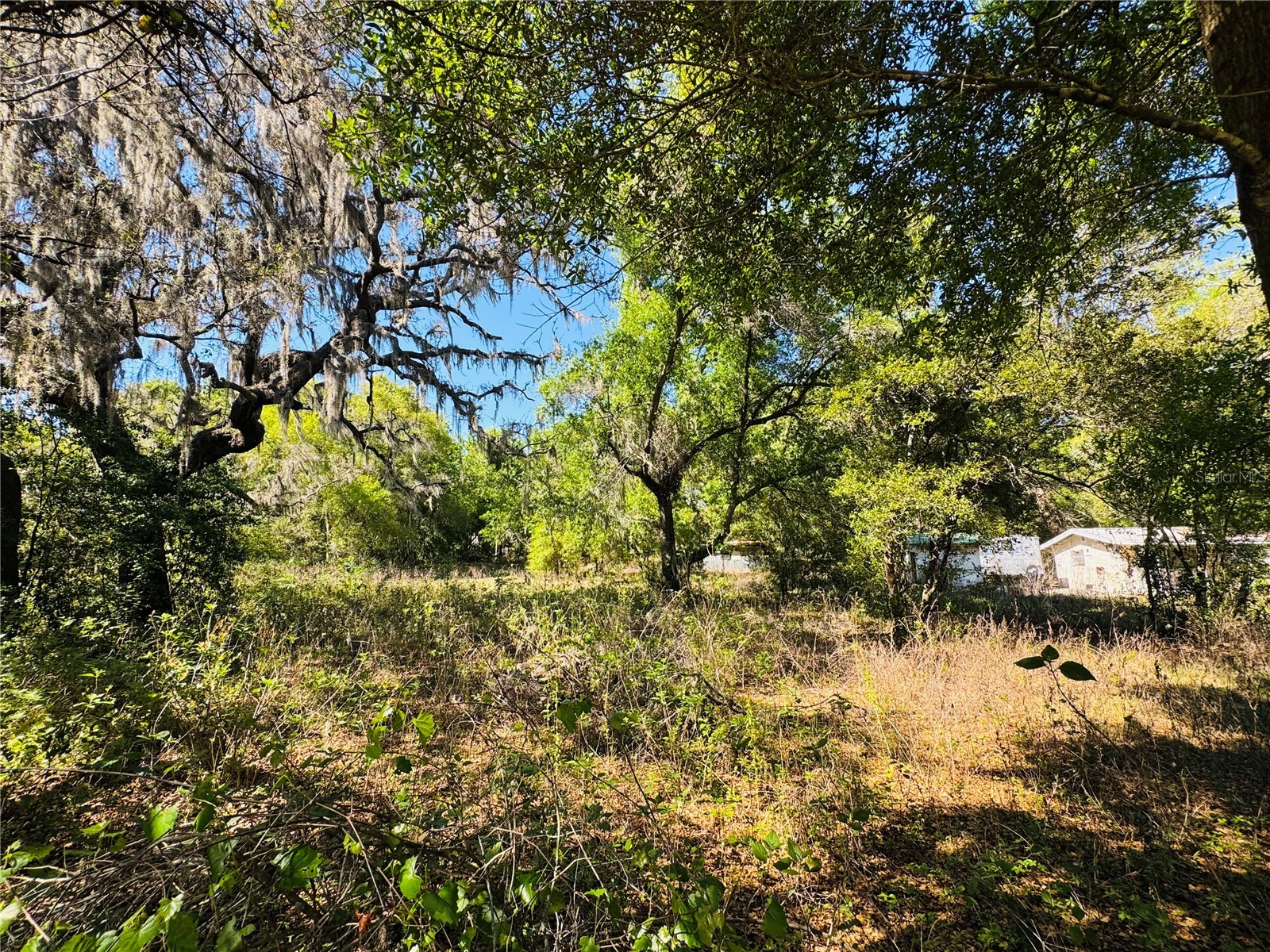 11340 Bessie Dix Road Seffner FL 33584 TB8486880 image11