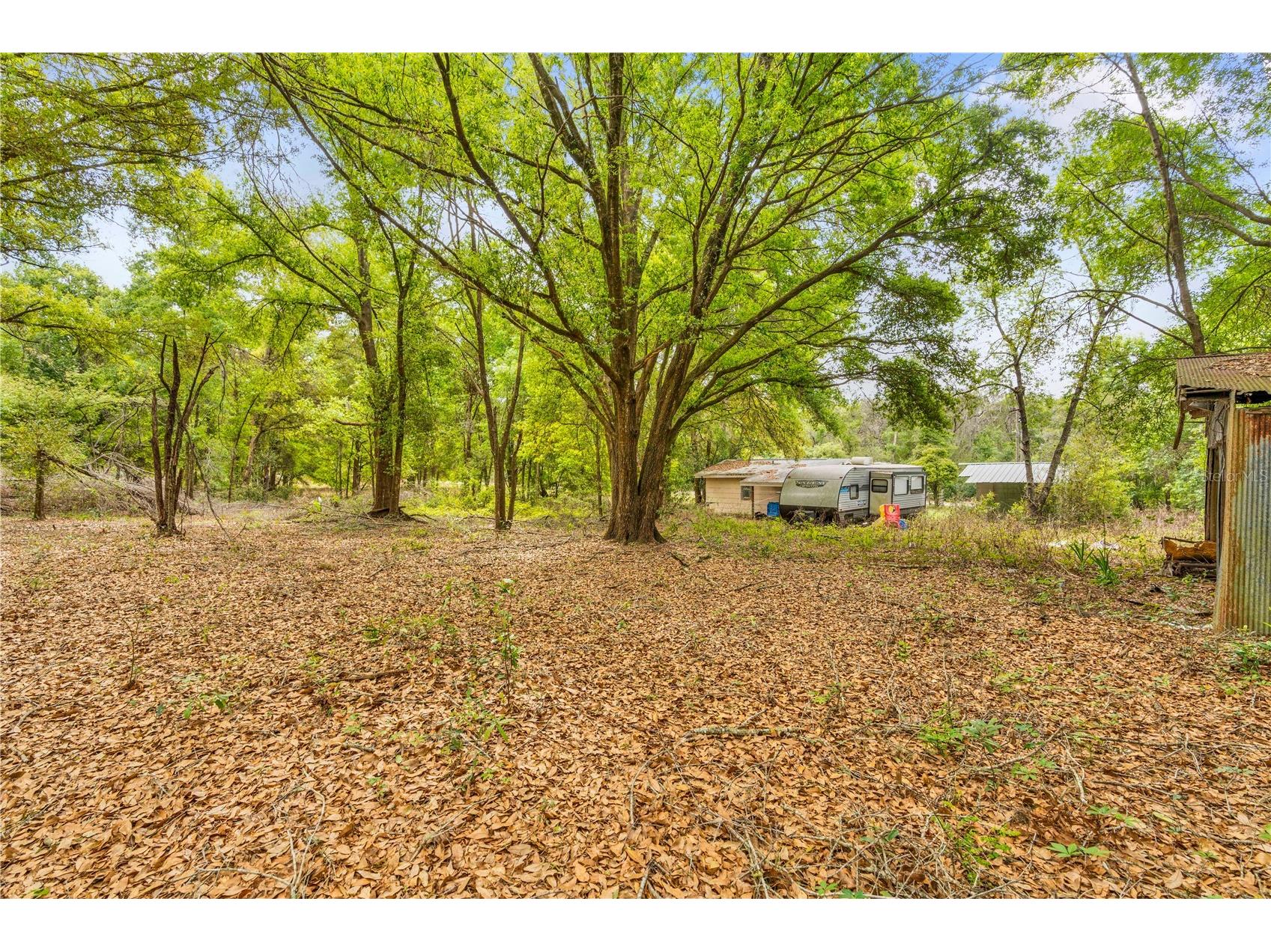 11340 Bessie Dix Road Seffner FL 33584 TB8486880 image13