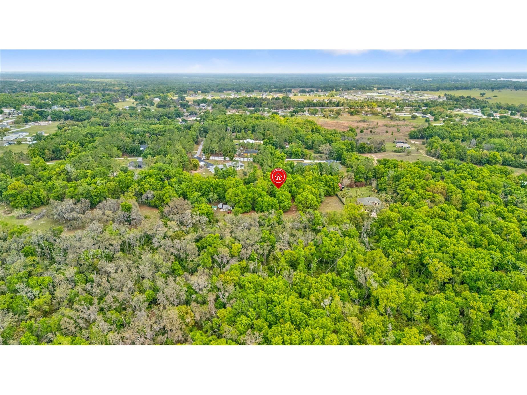 11340 Bessie Dix Road Seffner FL 33584 TB8486880 image14