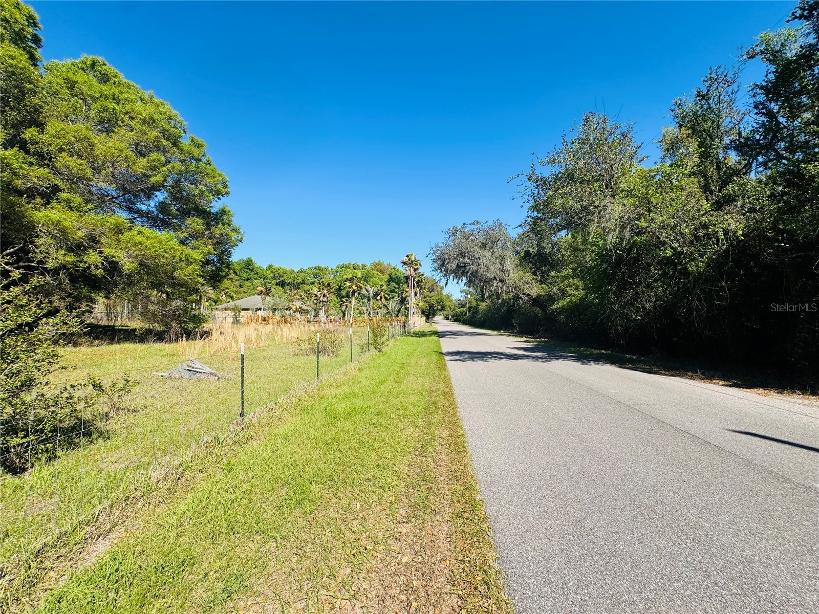11340 Bessie Dix Road Seffner FL 33584 TB8486880 image2