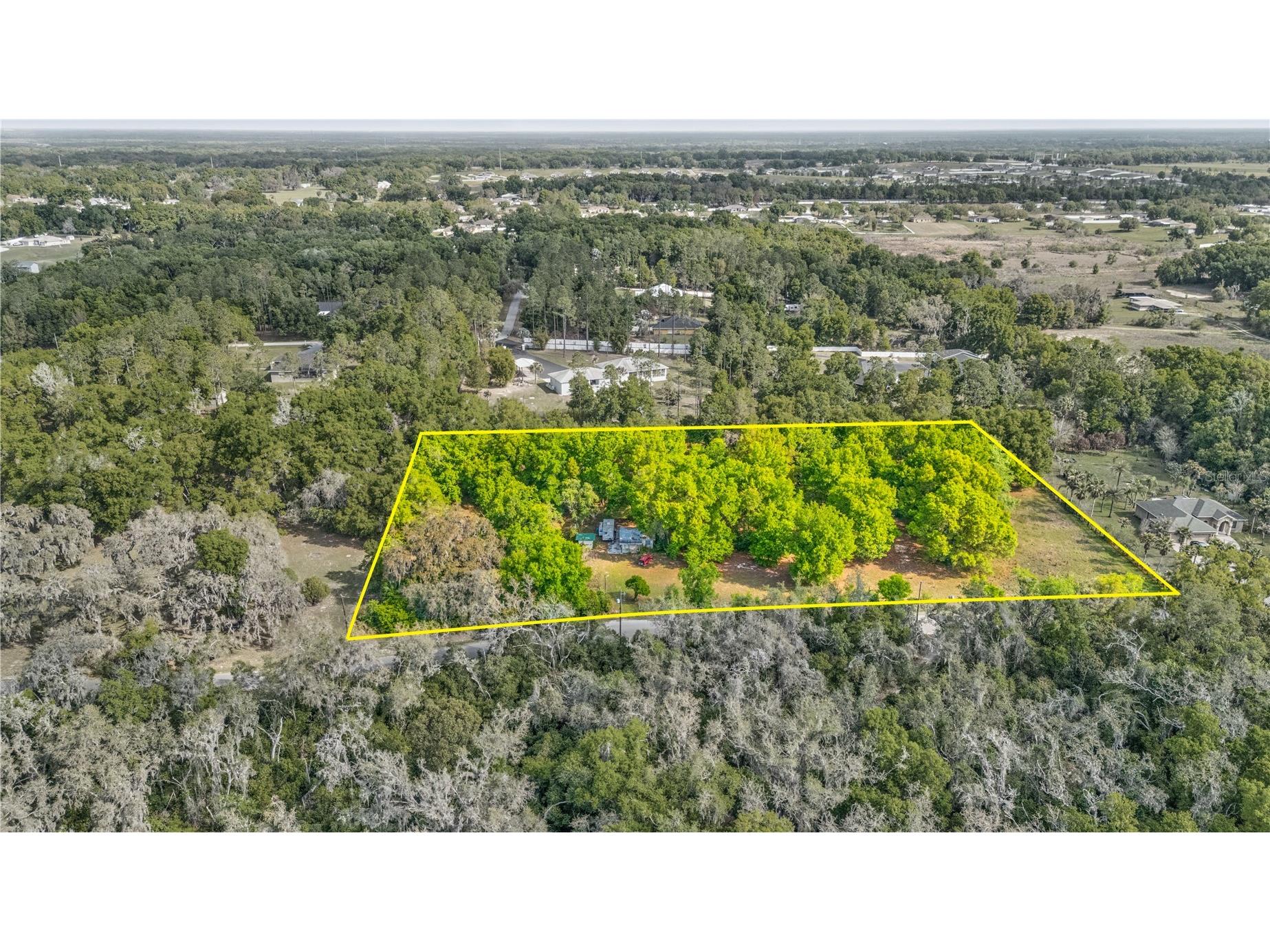 11340 Bessie Dix Road Seffner FL 33584 TB8486880 image3