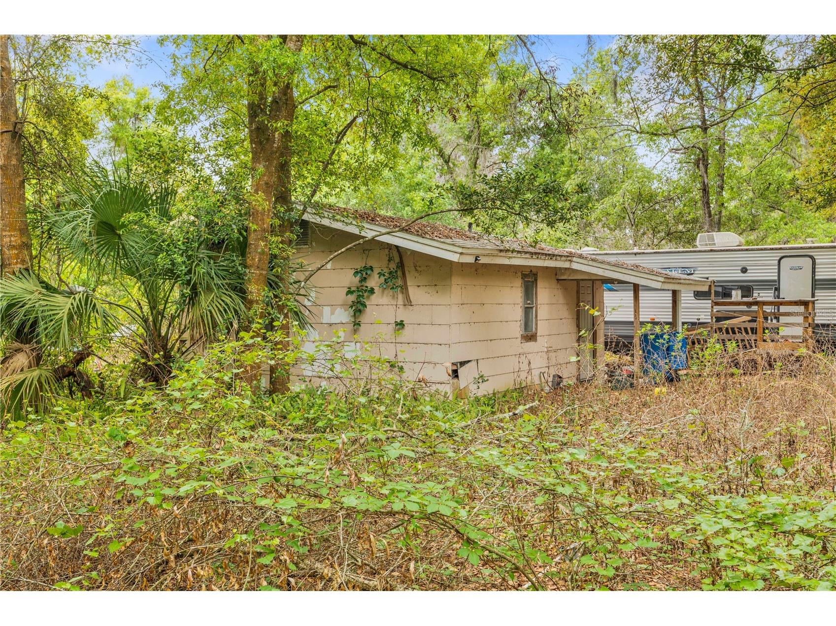11340 Bessie Dix Road Seffner FL 33584 TB8486880 image9