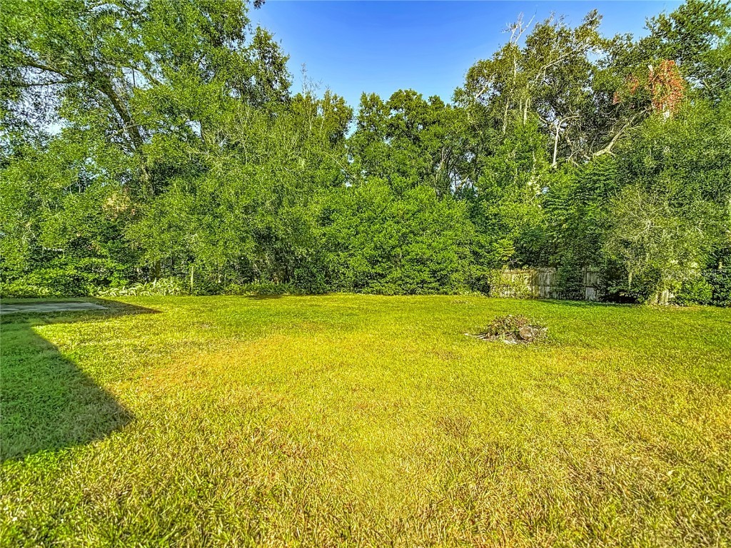 11340 Sally Road Dade City FL 33525 TB8450325 image39