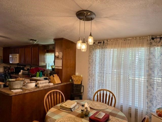 11340 SW 28th Way Webster FL 33597 W7886883 image19