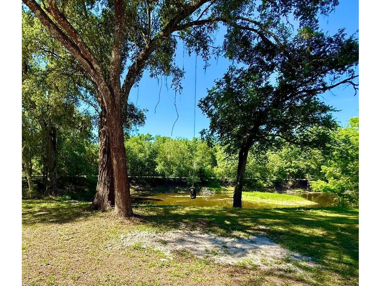11340 SW 28th Way Webster FL 33597 W7886883 image34