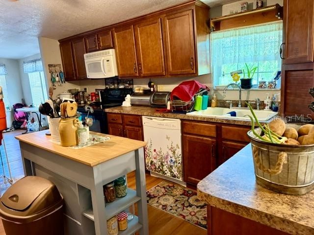 11340 SW 28th Way Webster FL 33597 W7886883 image7
