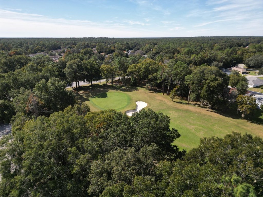 11340 SW 76th Circle Ocala FL 34476 O6359906 image41