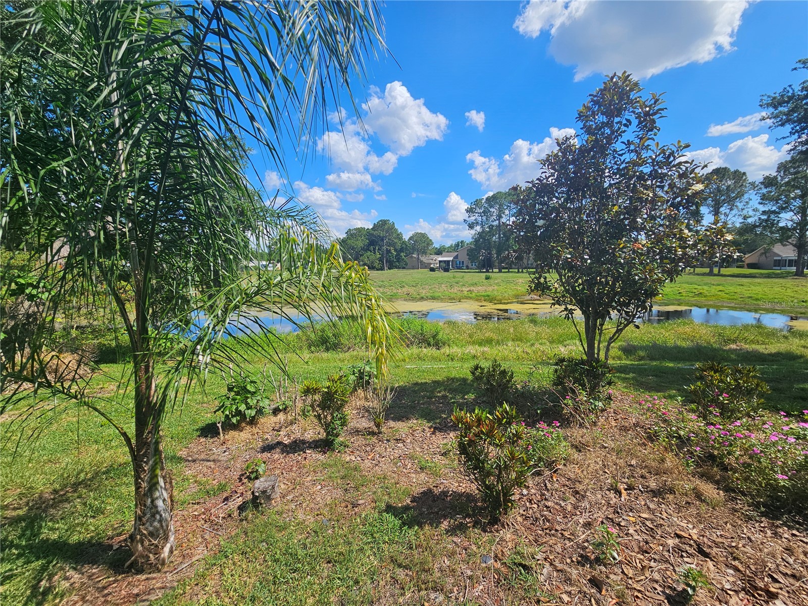11340 Tee Time Circle New Port Richey FL 34654 TB8516272 image25