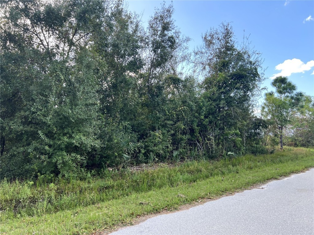 11341 2nd Avenue, Punta Gorda, FL, 33955 MLS C7499245 Edina Realty