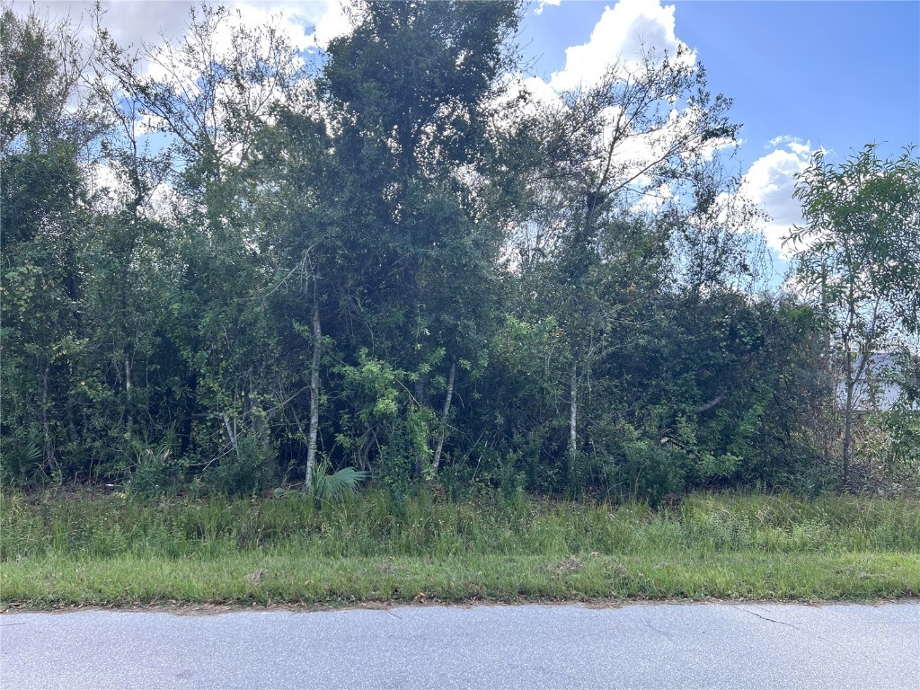 11341 2nd Avenue, Punta Gorda, FL, 33955 MLS C7499245 Edina Realty