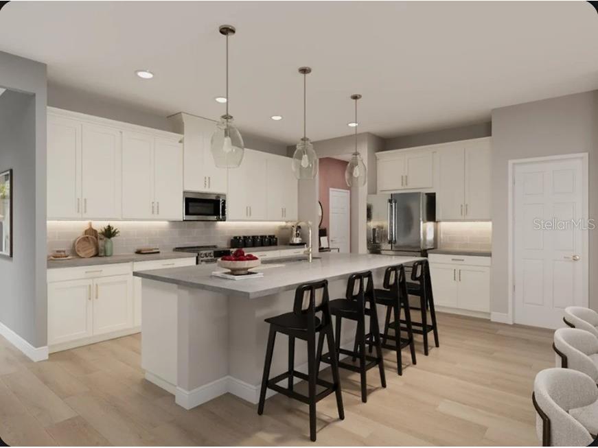11341 Bourbon Rose Circle Winter Garden FL 34787 O6427362 image3