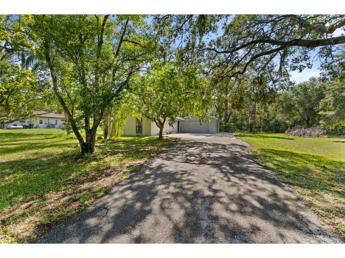 11342 Grovewood Boulevard Land O Lakes FL 34638 U8249393 image1