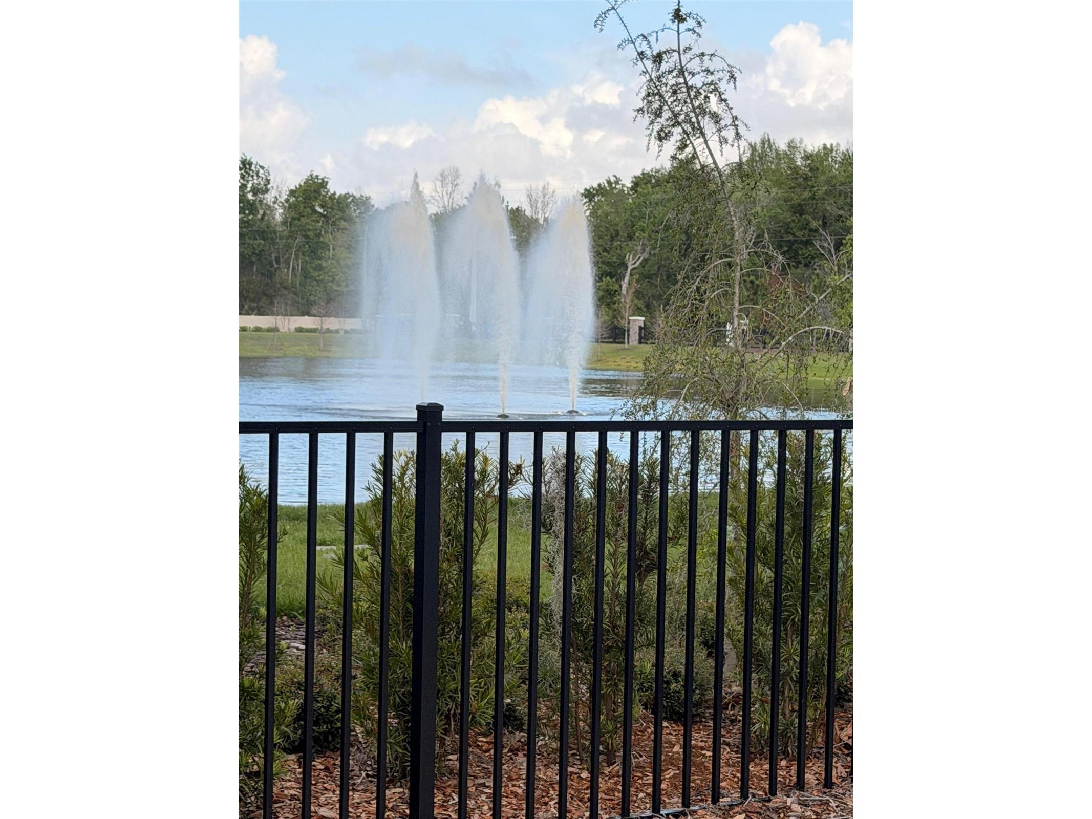 11342 Nona Sound Street Orlando FL 32832 S5147218 image16