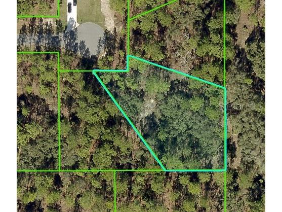 11342 Telephone Road Weeki Wachee FL 34614 W7873976 image1