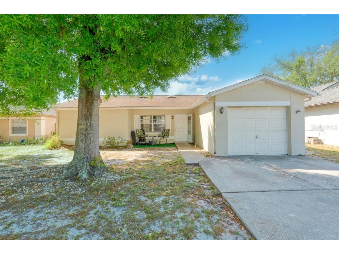 11343 Blackbark Drive Riverview FL 33579 O6189118 image1