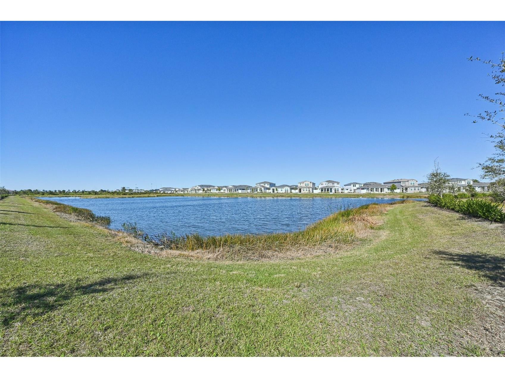 11343 Boundless Terrace Venice FL 34293 N6142674 image44