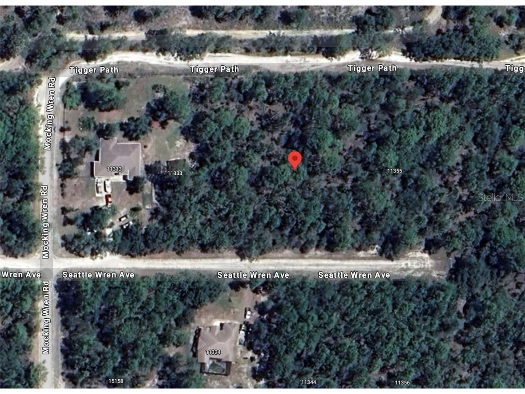 11343 Seattle Wren Avenue Weeki Wachee FL 34614 TB8344787 image1