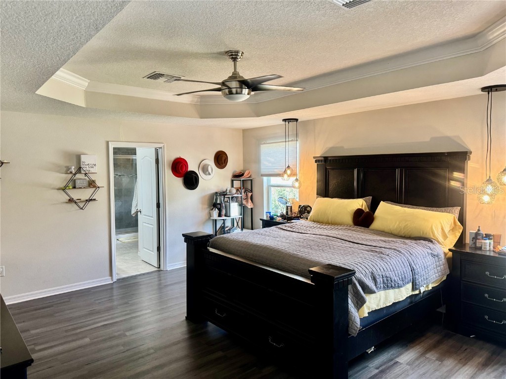 11344 Emerald Shore Dr Riverview FL 33579 - LAKE LUCAYA TB8436299 image19