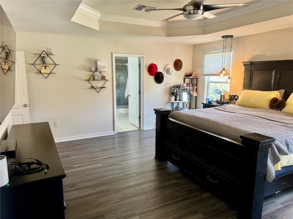 11344 Emerald Shore Dr Riverview FL 33579 - LAKE LUCAYA TB8436299 image20