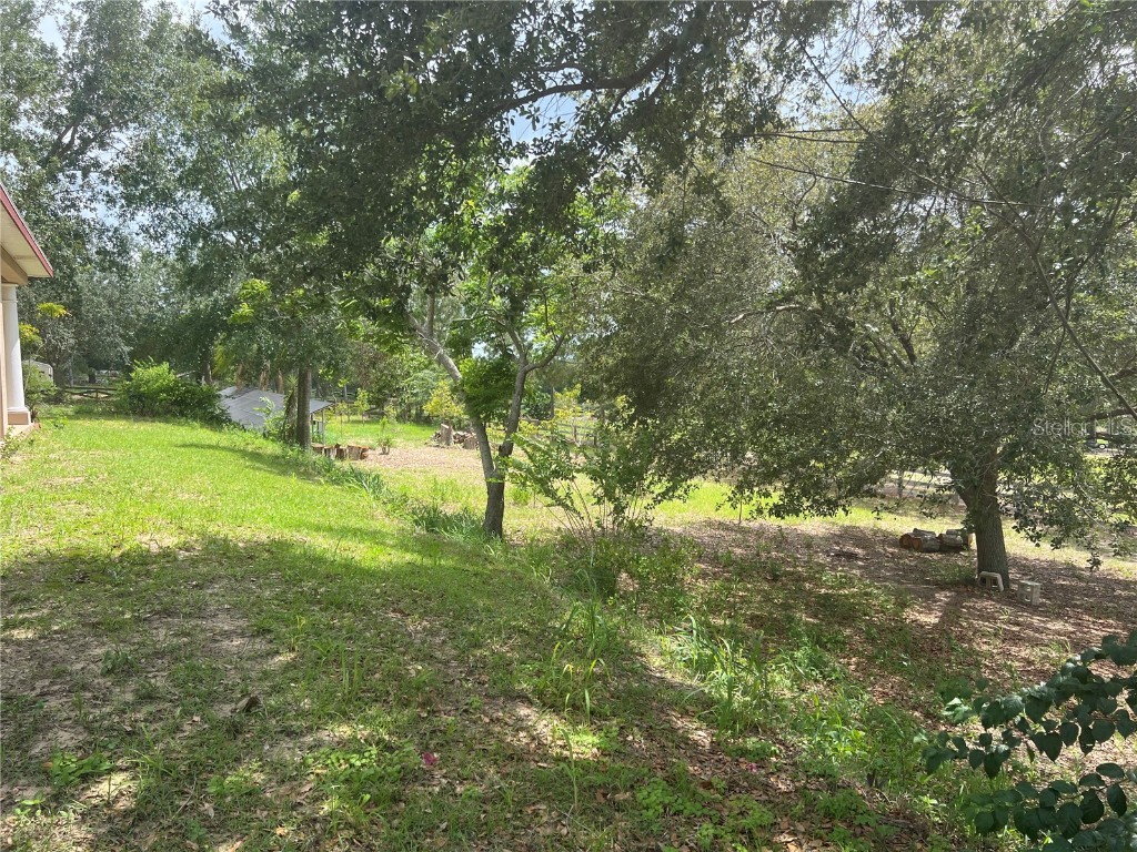 11344 Lake Montgomery Boulevard Clermont FL 34715 O6315349 image42