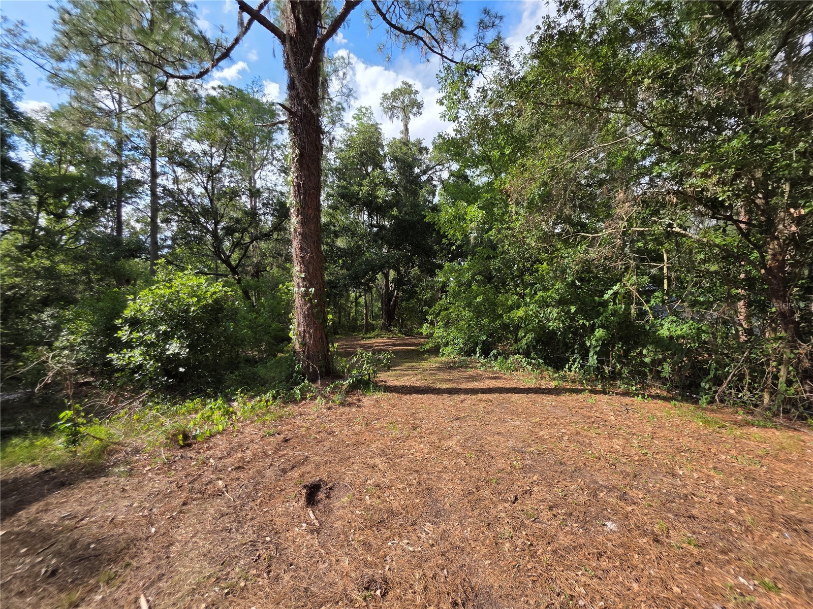 11344 Rockridge Road Lakeland FL 33809 L4962123 image28