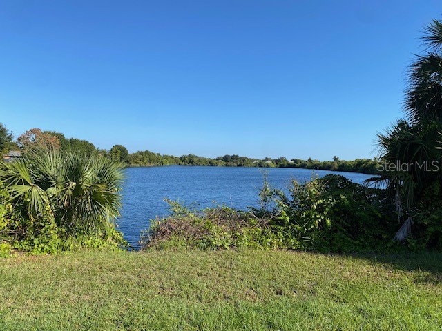 11344 Southwind Lake Drive Gibsonton FL 33534 TB8433756 image5