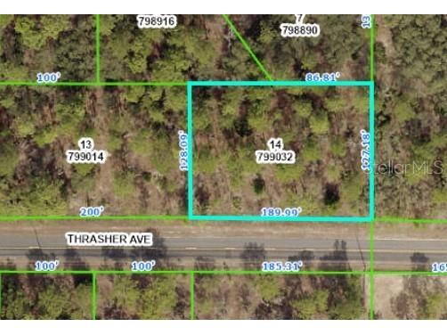 11345 Thrasher Avenue Weeki Wachee FL 34614 W7861288 image1