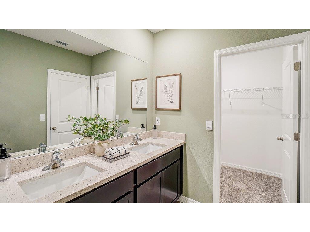 11346 Velvet Apricot Drive Land O Lakes FL 34638 TB8444527 image13