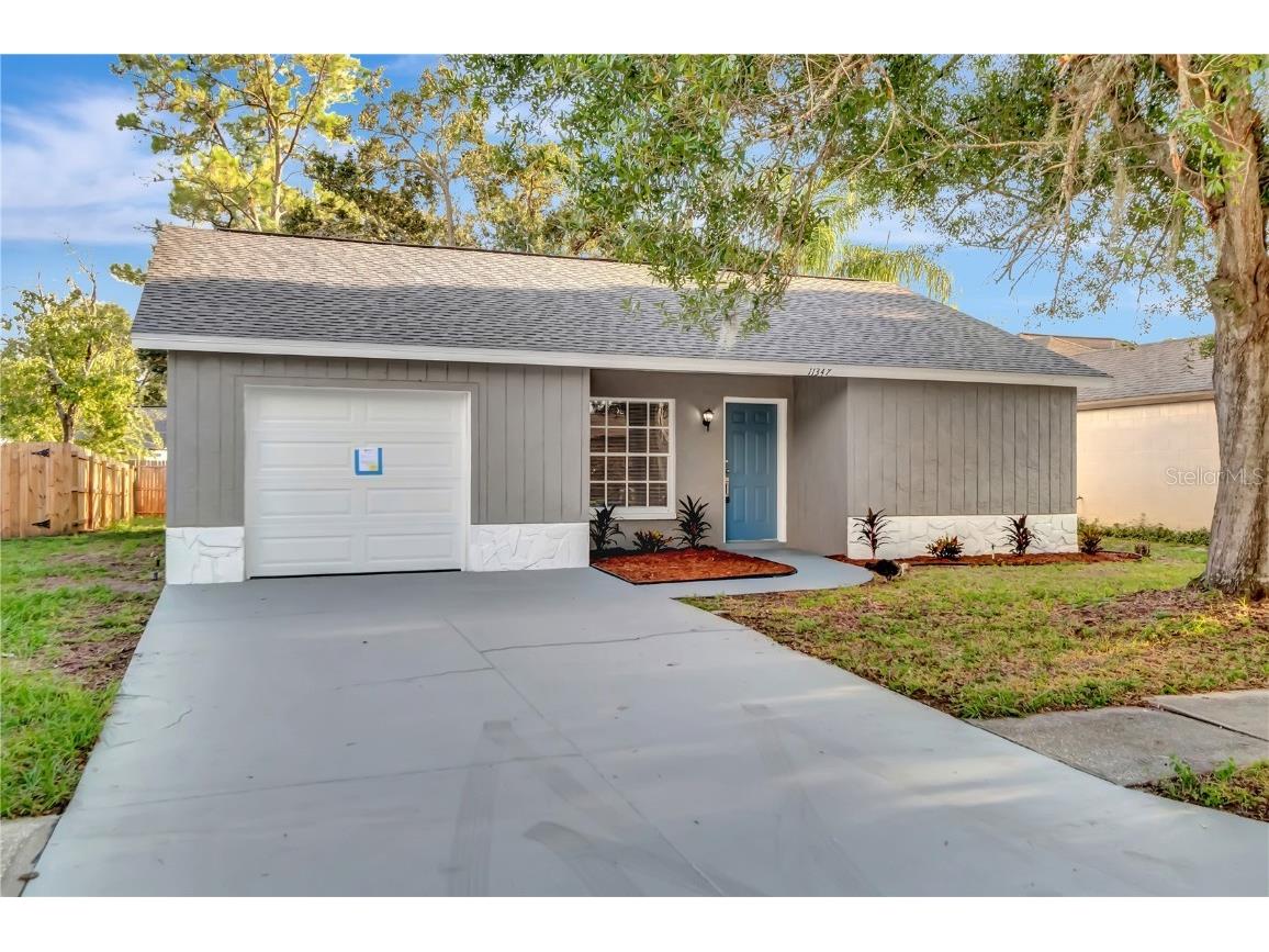 11347 Blackbark Drive Riverview FL 33579 T3471797 image1