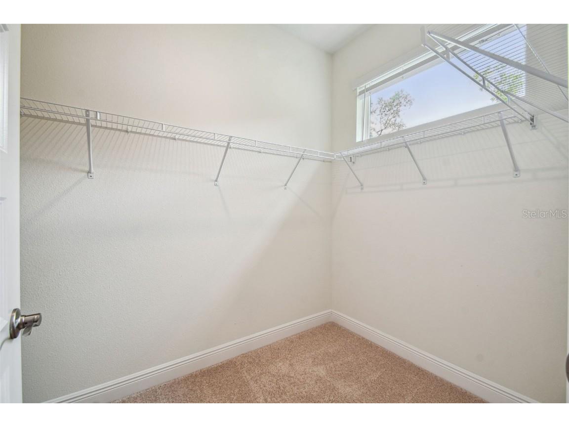 11347 Striped Bass Court New Port Richey FL 34654 W7881075 image32