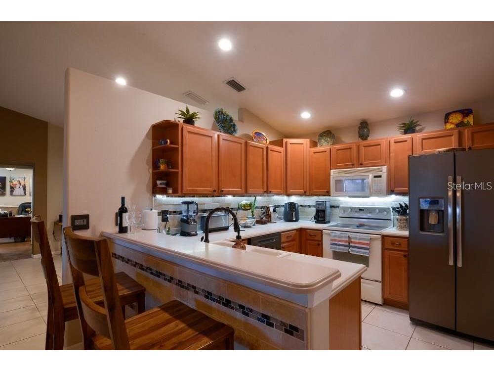 11347 Walden Loop Parrish FL 34219 A4693566 image8