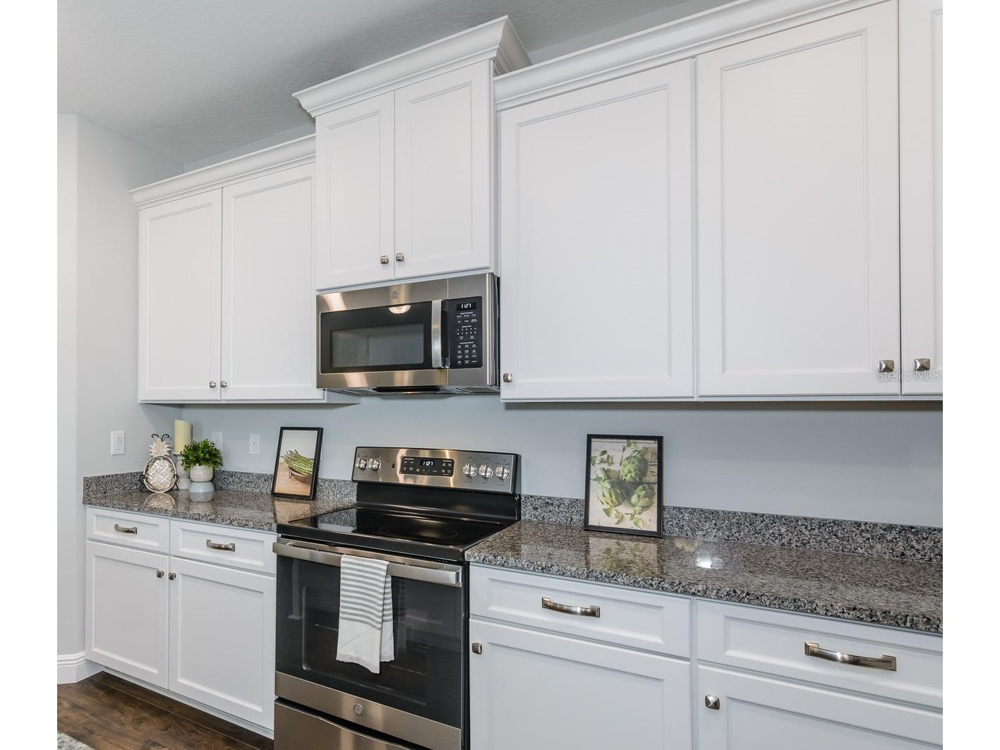 11347 Weaver Hollow Road New Port Richey FL 34654 TB8473592 image17