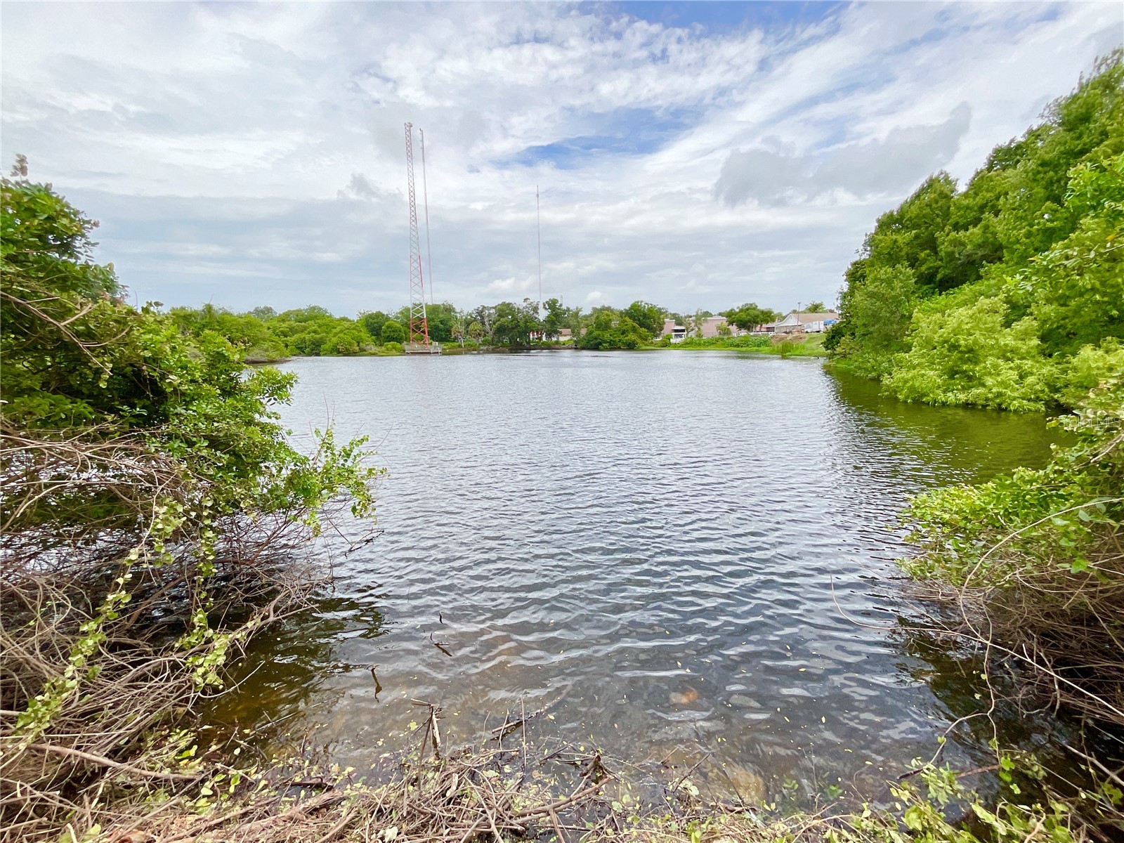 1135 7th Street N Safety Harbor FL 34695 TB8501099 image2