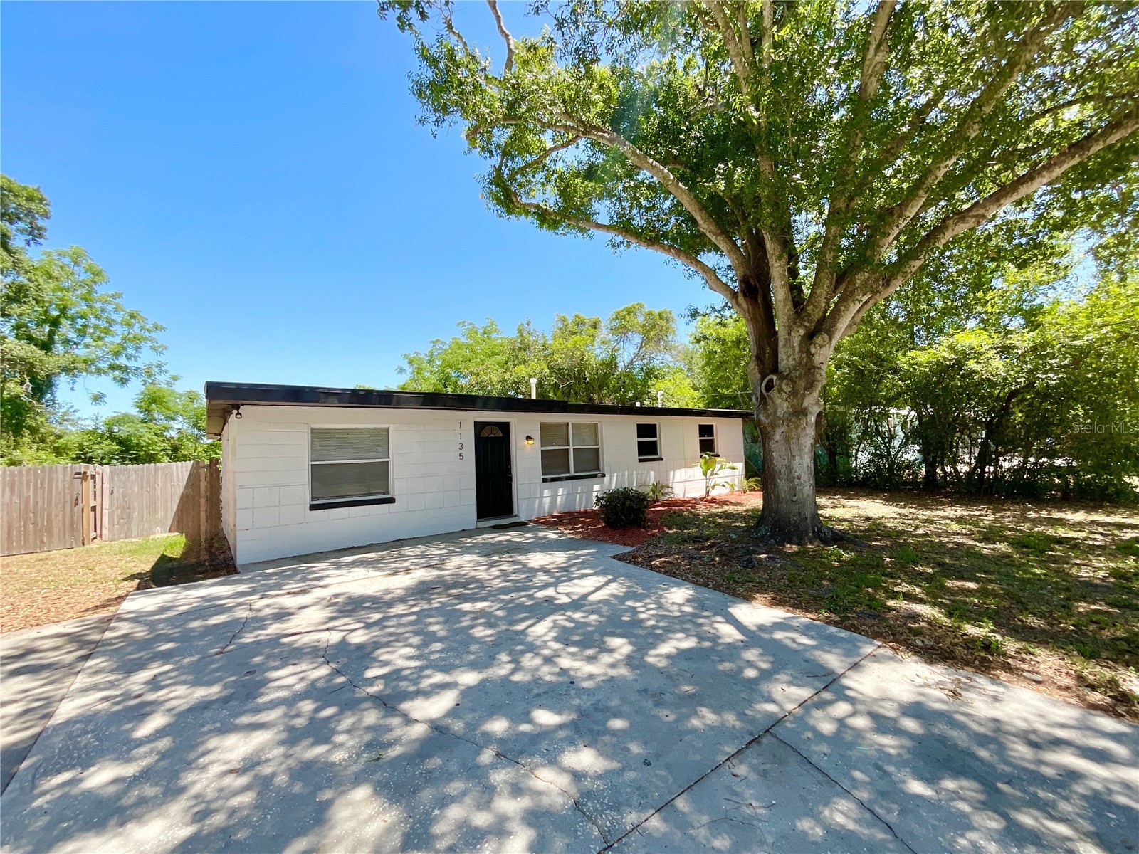 1135 7th Street N Safety Harbor FL 34695 TB8501099 image23