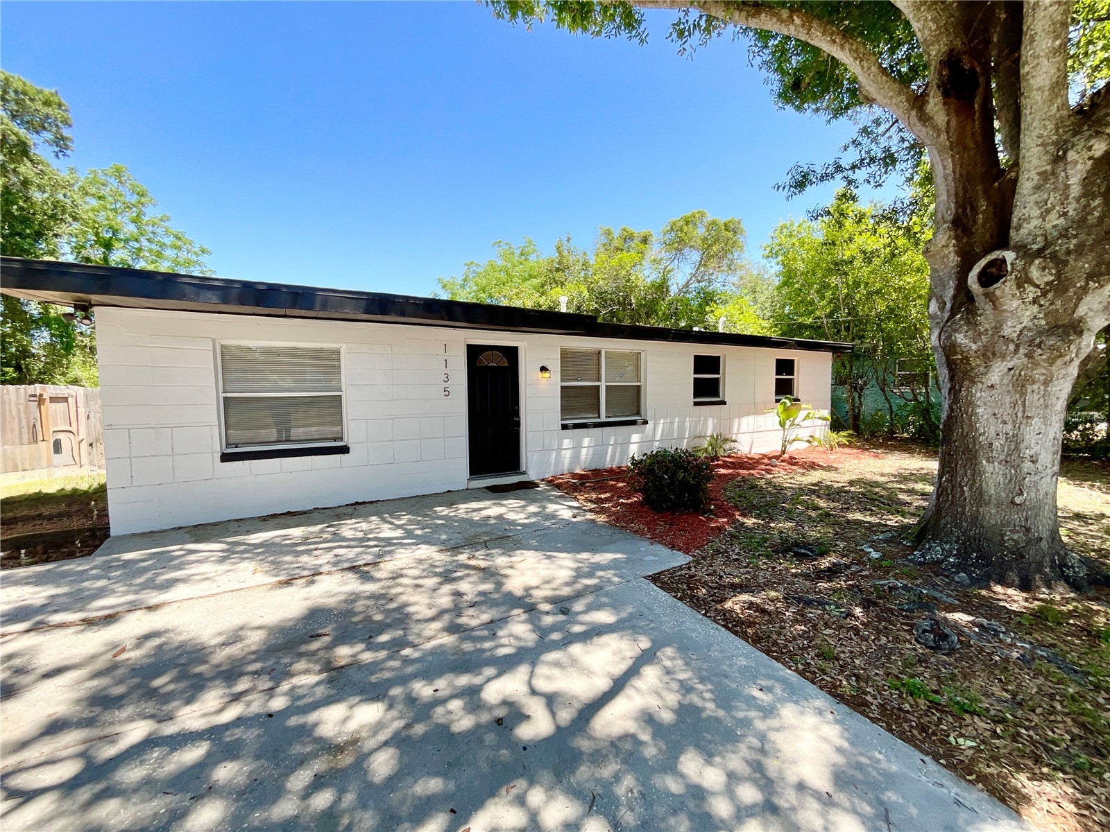 1135 7th Street N Safety Harbor FL 34695 TB8501099 image4
