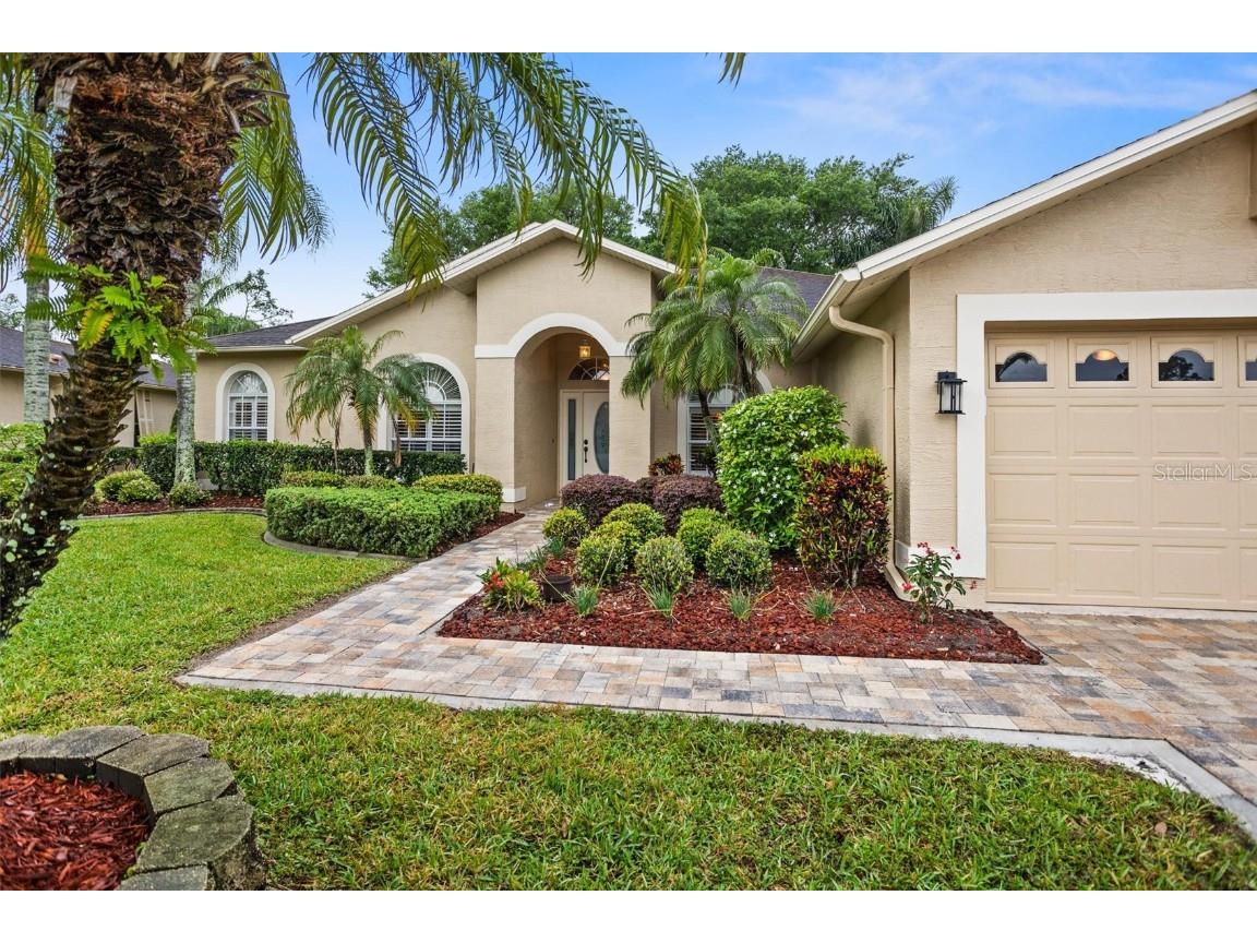 1135 Alanbrooke Street Trinity FL 34655 U8236698 image1