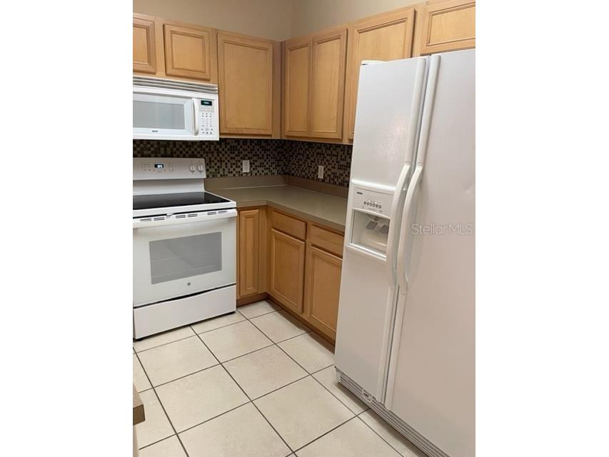 1135 Baronscourt Drive Wesley Chapel FL 33543 TB8466329 image13
