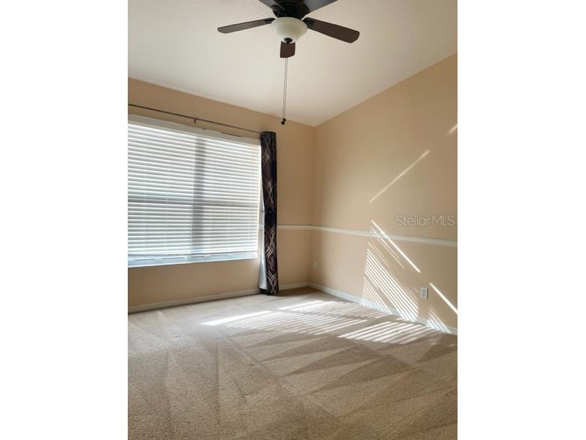 1135 Baronscourt Drive Wesley Chapel FL 33543 TB8466329 image14