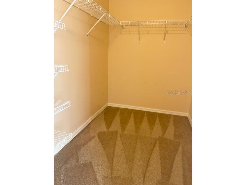 1135 Baronscourt Drive Wesley Chapel FL 33543 TB8466329 image16