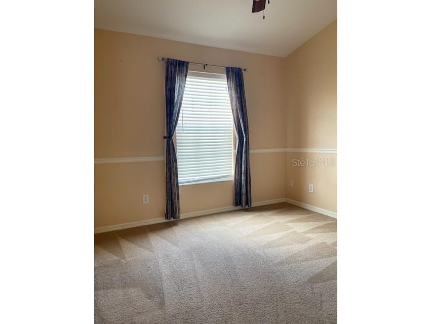 1135 Baronscourt Drive Wesley Chapel FL 33543 TB8466329 image18