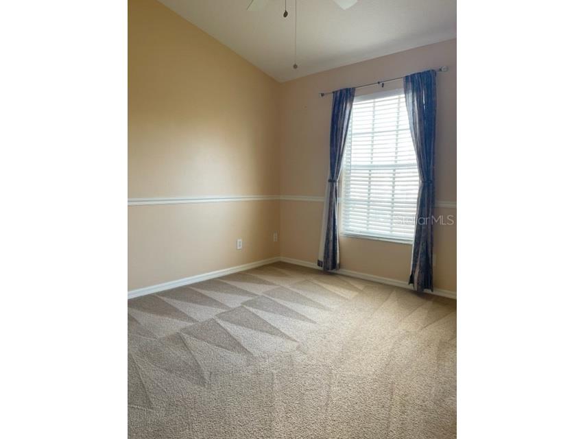 1135 Baronscourt Drive Wesley Chapel FL 33543 TB8466329 image19