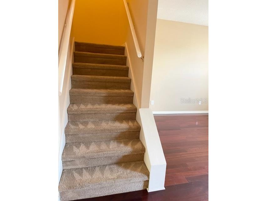 1135 Baronscourt Drive Wesley Chapel FL 33543 TB8466329 image22