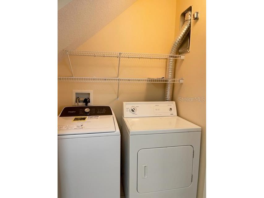 1135 Baronscourt Drive Wesley Chapel FL 33543 TB8466329 image23