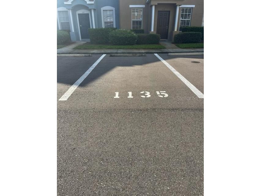 1135 Baronscourt Drive Wesley Chapel FL 33543 TB8466329 image29