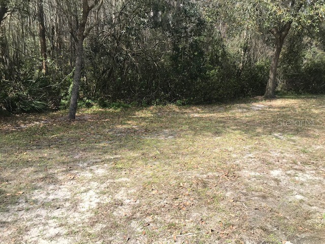 1135 Baronscourt Drive Wesley Chapel FL 33543 TB8466329 image32