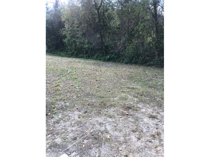 1135 Baronscourt Drive Wesley Chapel FL 33543 TB8466329 image33