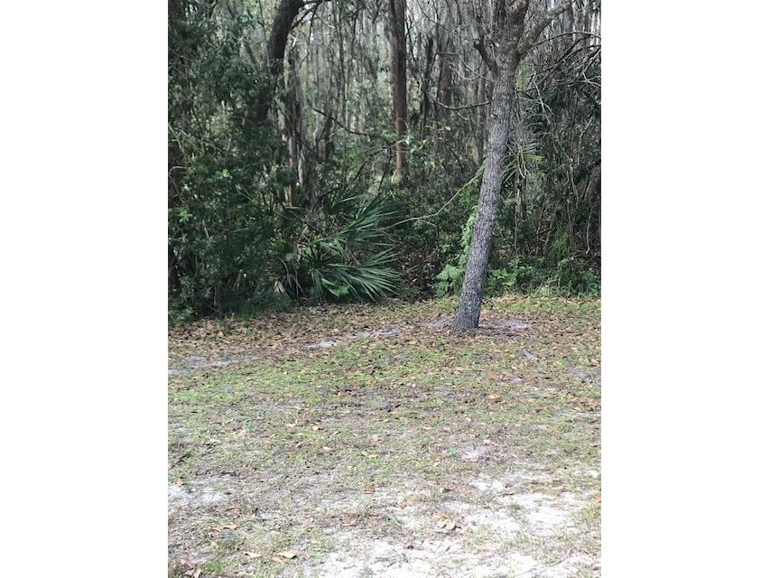 1135 Baronscourt Drive Wesley Chapel FL 33543 TB8466329 image34