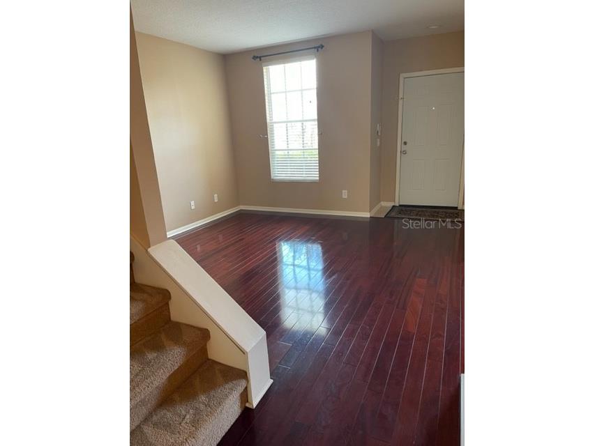 1135 Baronscourt Drive Wesley Chapel FL 33543 TB8466329 image4