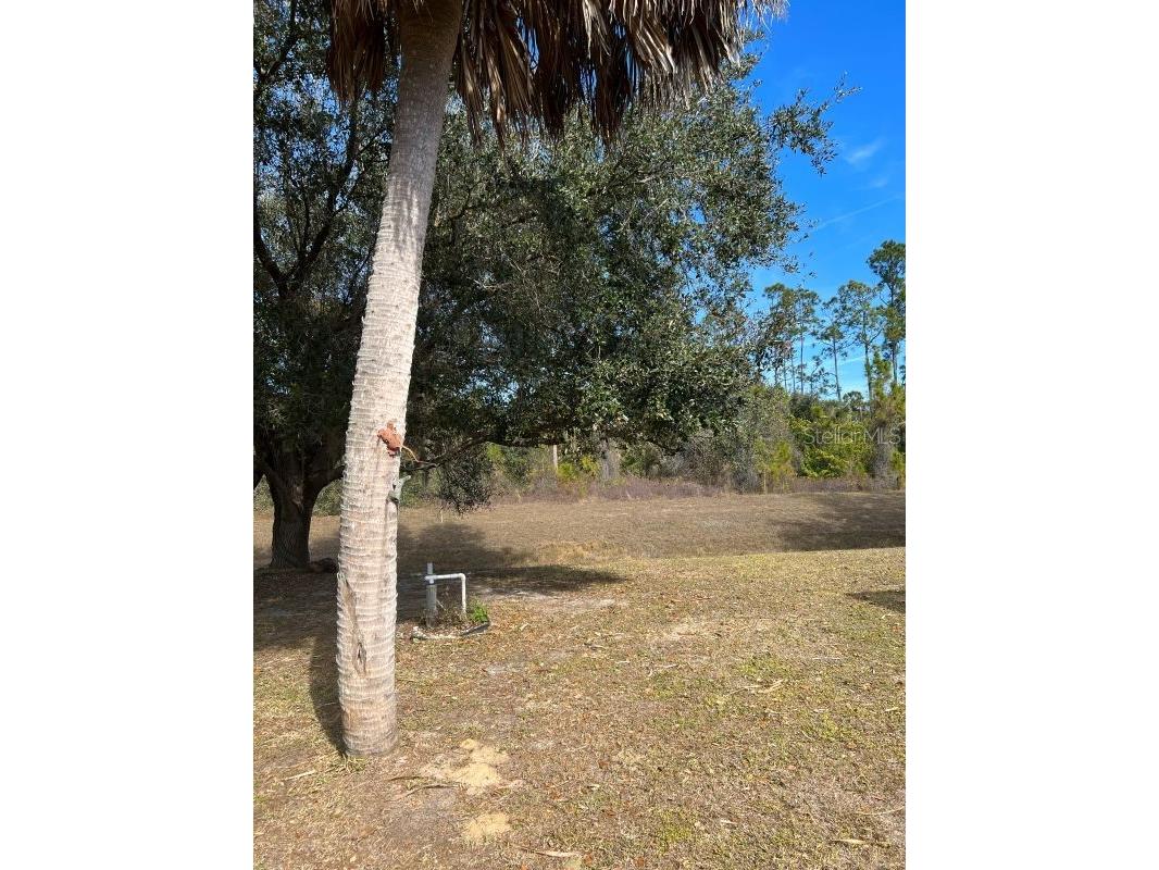 1135 Bergen Lane North Port FL 34288 TB8467260 image27